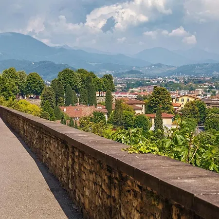 Golden Teal & Silver Birch Daire